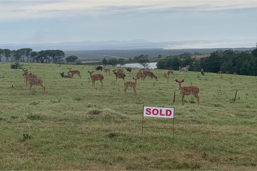 0 Bedroom Property for Sale in Kabeljauws Eastern Cape
